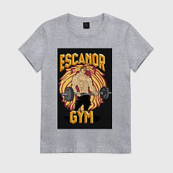 Футболка хлопковая женская Эсканор грех гордыни gym, цвет: меланж