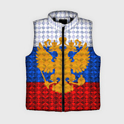 Женский жилет Россия: полигоны, цвет: 3D-черный