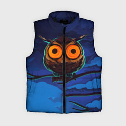 Женский жилет Глаза филина