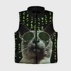 Женский жилет Кот в матрице, цвет: 3D-черный