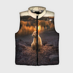 Женский жилет Солнечный зайчик