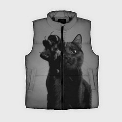 Женский жилет Черный котик