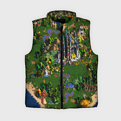 Женский жилет Heroes of Might and Magic, цвет: 3D-черный