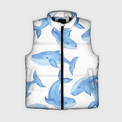 Женский жилет Косяк китов, цвет: 3D-черный