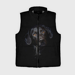 Женский жилет Пес, цвет: 3D-светло-серый