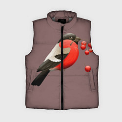 Женский жилет Снегирь