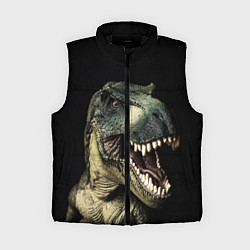 Женский жилет Динозавр T-Rex