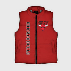 Женский жилет CHICAGO BULLS, цвет: 3D-светло-серый