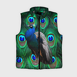 Женский жилет Павлин на фоне своих перьев