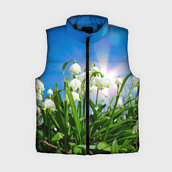 Женский жилет Подснежники, цвет: 3D-черный