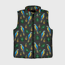 Женский жилет Попугай Ара