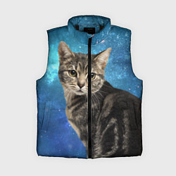 Женский жилет Кот Космос