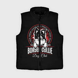 Женский жилет Бордер-Колли Border Collie, цвет: 3D-черный