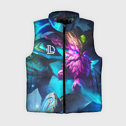 Женский жилет League of Legends Элдервуд Орн, цвет: 3D-светло-серый