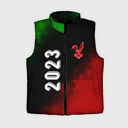 Женский жилет 2023 Кролик суровый: надпись, символ, цвет: 3D-черный