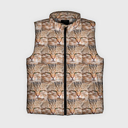 Женский жилет Кот - Гипнокот, цвет: 3D-светло-серый