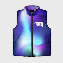 Женский жилет PUBG northern cold, цвет: 3D-черный