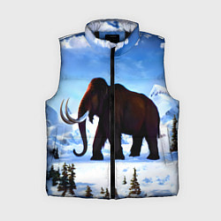 Женский жилет Мамонт ледникового периода