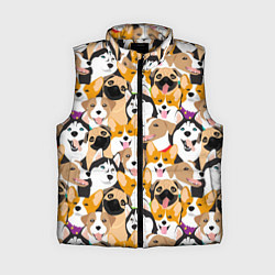 Женский жилет Хаски, Джек-рассел-терьер, Мопс, Корги, цвет: 3D-черный