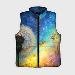 Женский жилет Одуванчик и космос, цвет: 3D-черный