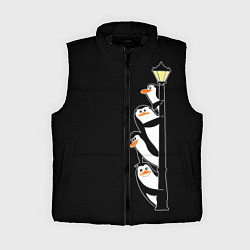 Женский жилет Пингвины на фонарном столбе, цвет: 3D-черный