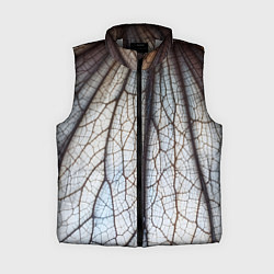 Женский жилет Прожилки растения, цвет: 3D-светло-серый