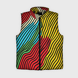 Женский жилет Абстрактные цветные линии