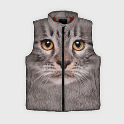 Женский жилет Котик, цвет: 3D-красный