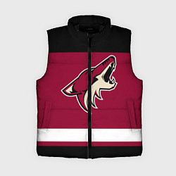 Женский жилет Arizona Coyotes, цвет: 3D-черный