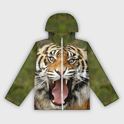 Ветровка с капюшоном женская Удивленный тигр, цвет: 3D-белый