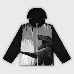 Женская ветровка Пещера динозавра