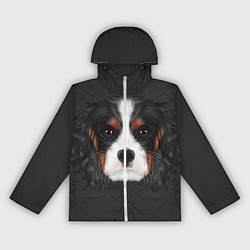 Ветровка с капюшоном женская Cavalier King Charles, цвет: 3D-белый