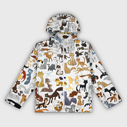 Ветровка с капюшоном женская Котоколлаж 01, цвет: 3D-белый