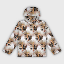 Ветровка с капюшоном женская Маленький котенок паттерн, цвет: 3D-белый