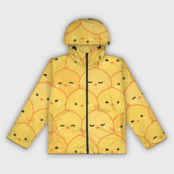 Ветровка с капюшоном женская Милые птенчики, цвет: 3D-черный