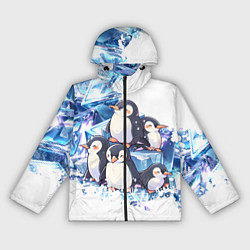 Ветровка с капюшоном женская Пингвины и лёд, цвет: 3D-черный